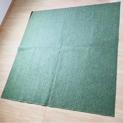 カーペット【ニトリ】グリーン