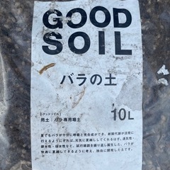 ヒラタナーセリ　GOOD SOIL ドライガーデンの画像