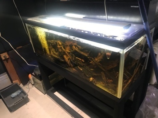 お譲り先決定‼️‼️    1200水槽　大型水槽　フルセット　水槽