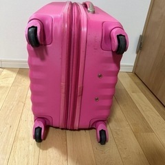 Raindeer スーツケースの画像
