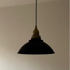 ARTWORKSTUDIO ペンダントライト AW-0574の画像