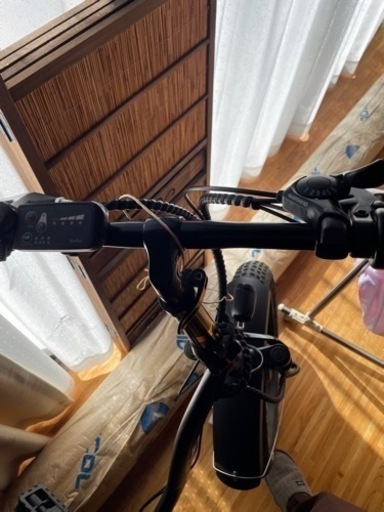電動自転車 珍しい両輪駆動 電動バイク
