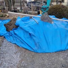 庭の土 好きなだけあげますの画像