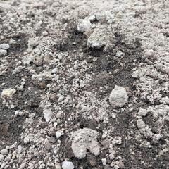 庭の土 好きなだけあげますの画像
