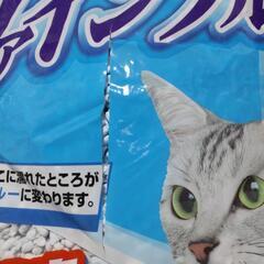 難有り★猫砂１２Lの画像