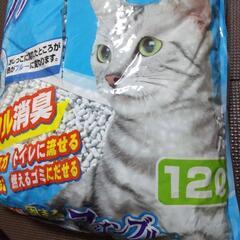 難有り★猫砂１２Lの画像