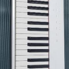 CASIO PX-S1000WE