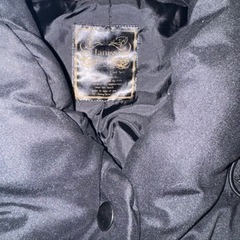 きれい系ダウンの画像