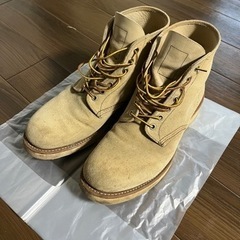[受け渡し決まりました]レッドウィング　アイリッシュセッター