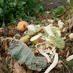 【農家の方へ】定期的に『野菜クズ』等あれば譲ってください！