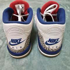 エアジョーダン3 AIRJORDAN3 TRUE BLUE

の画像