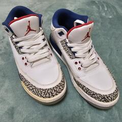 エアジョーダン3 AIRJORDAN3 TRUE BLUE

の画像