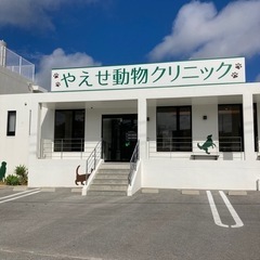 動物好き集まれ〜🐶🐈１日1時間〜OK🙆‍♀️正社員登用制度あり！...