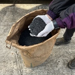 自家製もみ殻くん炭