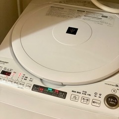 【2/21（水）まで！】洗濯機② ヒーター乾燥機能搭載！2022年製 シャープ SHARP　縦型洗濯乾燥機　洗濯8kg　乾燥4.5kg　ステンレス穴なし槽　シワ取り機能　ES-TX8F-Wの画像