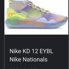 希少品　NIKE ナイキ Zoom ズーム KEVIN WAYNE DURANT 2019-2020 CK1201-900 KD12 マルチカラー 26.5cm 1-F053Y/1/100 中古品

の画像