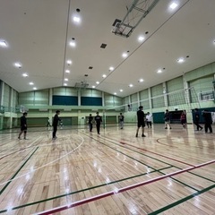 3/3(日)バレーボール参加者募集！@横浜市
