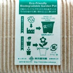 ■新品「エコポット栽培5点セット(小松菜・ラディッシュ・赤丸二十日大根・水菜×2)」の画像