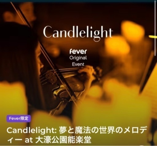 2枚 Candlelight 夢と魔法の世界のメロディー