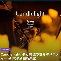 2枚 Candlelight 夢と魔法の世界のメロディー