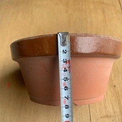 【未使用品】朱温鉢6号　10個1セット【札幌近郊】【汚れ多少あり】　（サイズは写真参考） の画像