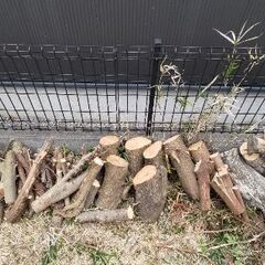 木、薪【受け渡し予定者決定しました】