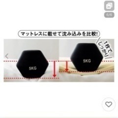 【旭化成アドバンス×dinos共同開発】ファミリー布団用 シルキーエアロクッションパッド（パッドシーツ）ファミリーサイズ・家族用の画像