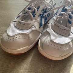 仙台市工業高校体育館シューズの画像