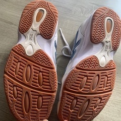 仙台市工業高校体育館シューズの画像