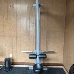 ラットプルマシン　impulse製　オリンピックスリーブの画像