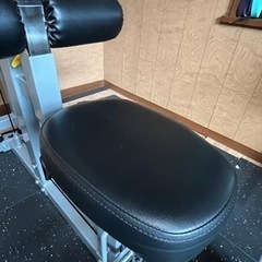 ラットプルマシン　impulse製　オリンピックスリーブの画像