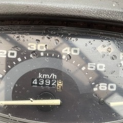 原付　　AF27 ライブディオ の画像