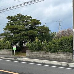 南さつま市加世田小湊花尾町　売地　53.80坪　宅地　200万円