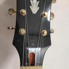Epiphone Riviera Custom P93 リビエラカスタム P90の画像