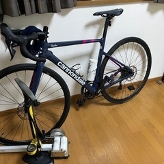 caad13 rapha 限定カラー　交換可能の画像
