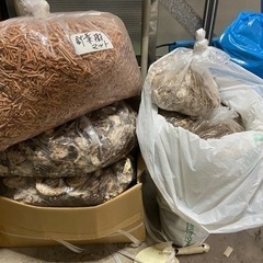 オオクワガタ　使用済み菌糸マット・埋め込みマット・針葉樹マット