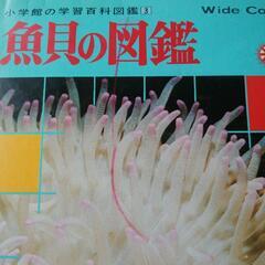 図鑑 学研 小学館 昆虫 植物 魚貝 鳥類 動物の画像