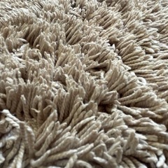 ラグ(ベージュ)の画像