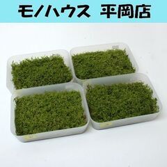苔 ハイゴケ 這苔 縦12×横17cm 苔玉 装飾資材 庭園材 ...