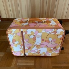 キャリーバッグの画像