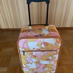 キャリーバッグの画像