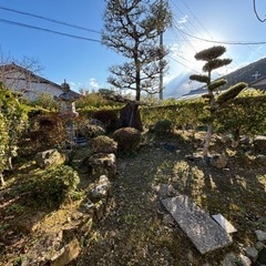 庭木 庭石  松の木 