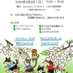 CONTATTOいぬねこ譲渡会