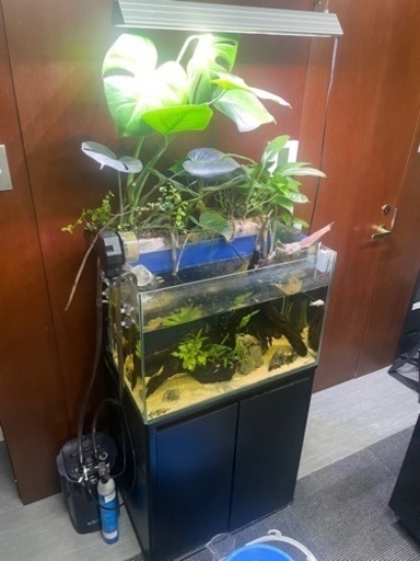 熱帯魚飼育セット一式