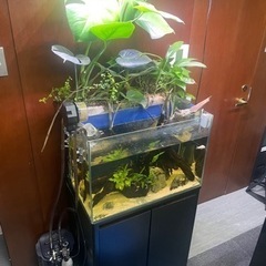 熱帯魚飼育セット一式