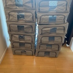 衣類収納ケース Mサイズ 12個セット（アストロ 活性炭消臭 ワ...