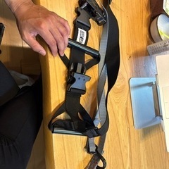 バイク、腰ベルト子供用の画像