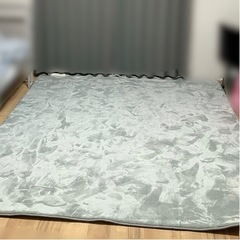 【取引済】タンスのゲン 高反発ラグ 200×250 cm 4000円