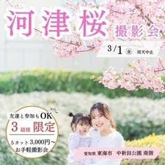 【愛知県東海市】河津桜撮影会🌸