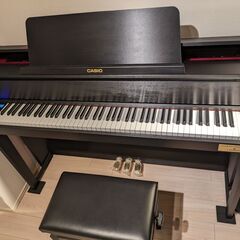 カシオ CASIO GP-300BK CELVIANO Gran...
